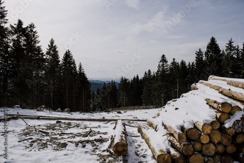 Landschaft im Schnee im Harz