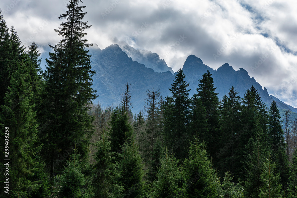 View of the mountain scenery. Clouds gather over a high mountain ridge and a dark forest.