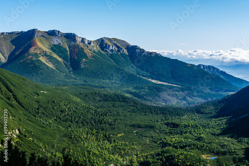 Mountain view. Green forest in the valley and lower parts of the slopes covered with dwarf mountain pine bushes.