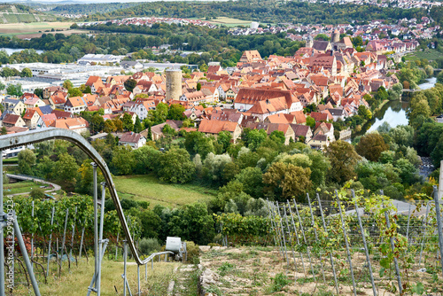 Blick auf Besigheim am Neckar, View on old swabian wine village photo