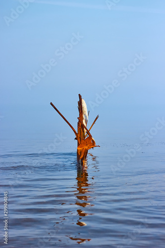 Old rusty breakwaters with ragged scraps of rope. Against the background of the sea merging with the sky.