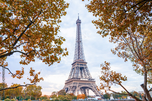 Eiffel Tower in Paris © alexugalek