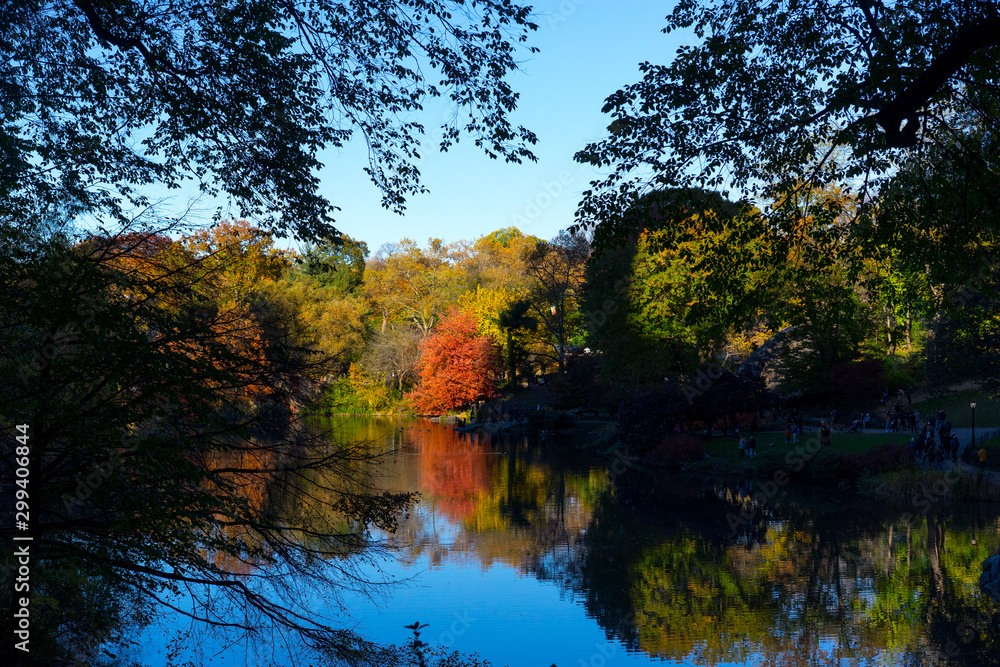 Fall Reflection Fall Reflection