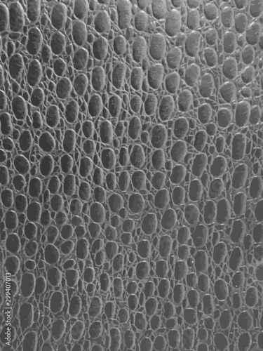 Reptile leather - skin with scales and wrinkles monochrome vector overlay texture pattern