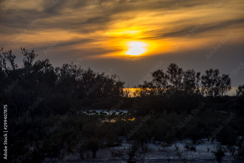 Camargues