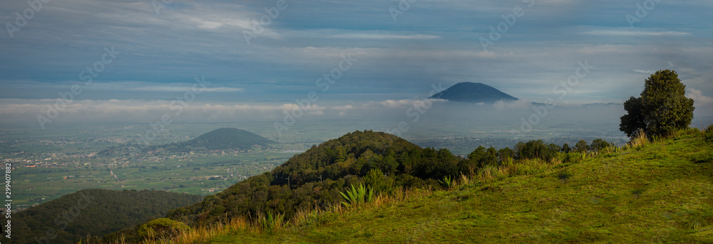 Fototapeta premium Panoramic natural landscape photography in the middle of the forest