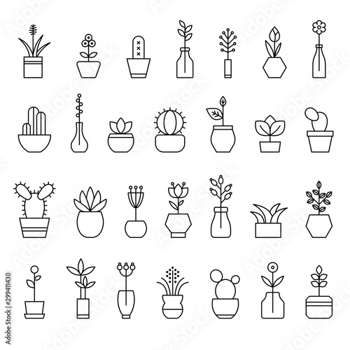 collection of home flowers