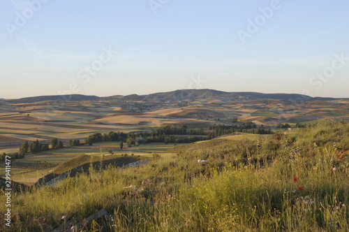 Vista general de campos en primavera con colinas en un día claro © Uve