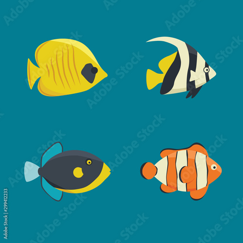 vector collection - four saltwater fishes
