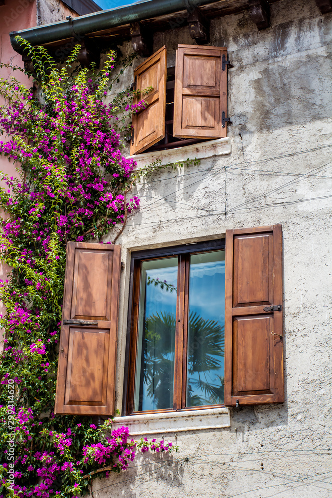 Pink Bougainvillea Flowers on the Wall of  Italian  Stone House.Beautiful Facade of a House in Italy with Wooden Shutters on the Windows 