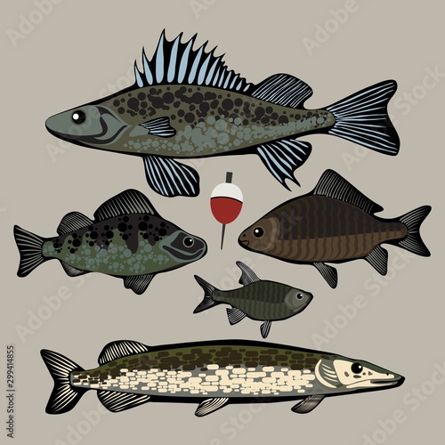 set of fish Vector 