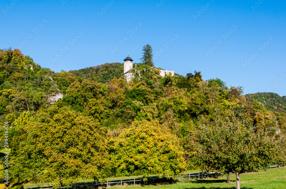 Arlesheim, Schloss Birseck, Burg, Weinberg, Obstbäume, Ermitage, Herbstfarben, Wanderweg, Herbstlaub, Herbst, Schweiz