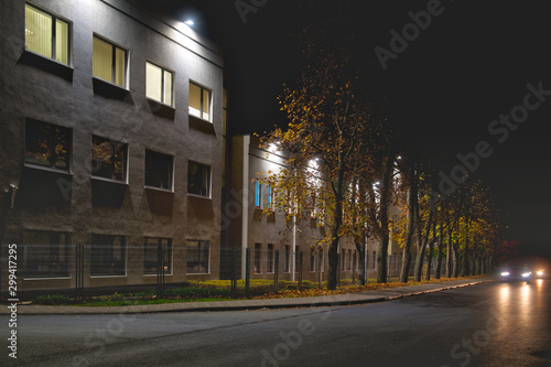 Fototapeta Naklejka Na Ścianę i Meble -  An empty street and row of trees at night illuminated by the light of the building. Autumn leaves lying on the grass. Long exposure with the night sky.