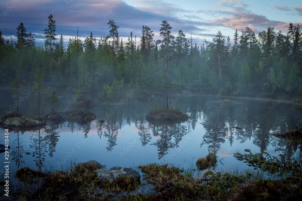 Summer Night landscape in the north of the Kola Peninsula in Russia. White nights, lakes, forests and haze in the swamps