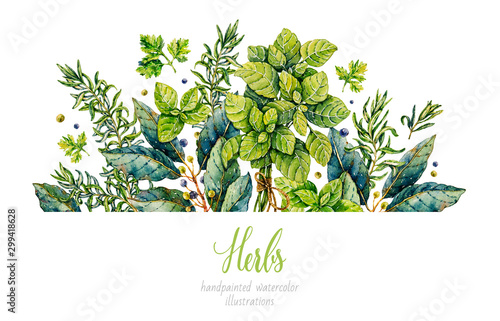 Tela Watercolor rosemary, basil, bay leaf, parsley