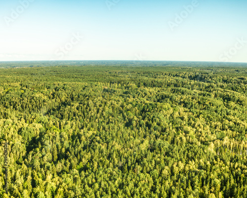 Small shadow of hot air balloon in distance over pine tree forest in Northern Europe with blue sky background at sunrise