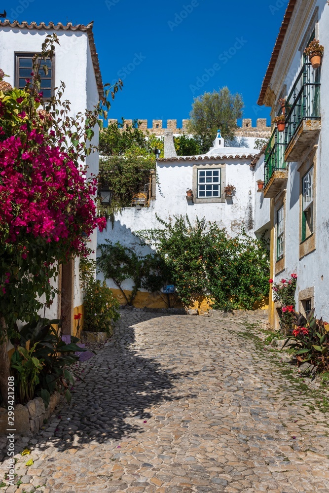 Fototapeta premium Typical medieval town of Obidos in Portugal.