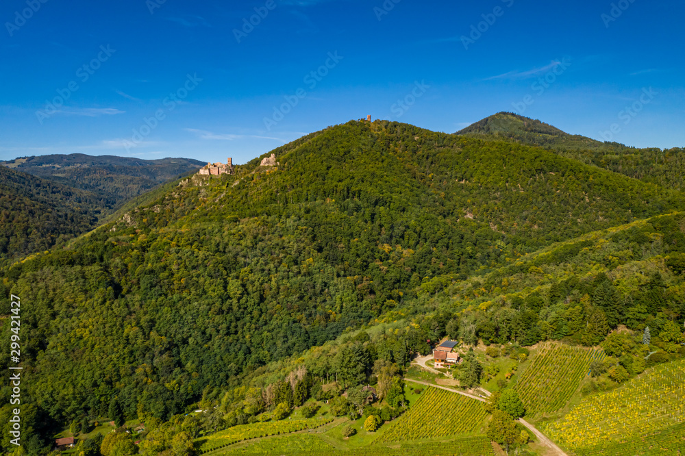 An aerial panorama of Ribeauvillé (France) with vineyards