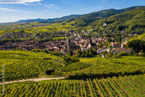 An aerial panorama of Ribeauvillé (France) with vineyards