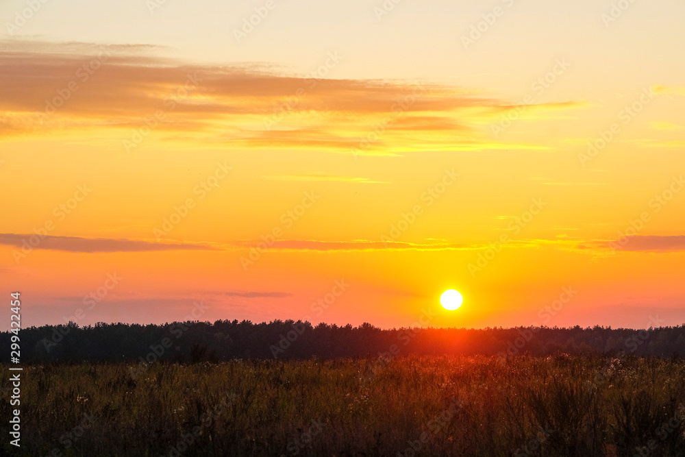 image of sunset over the field