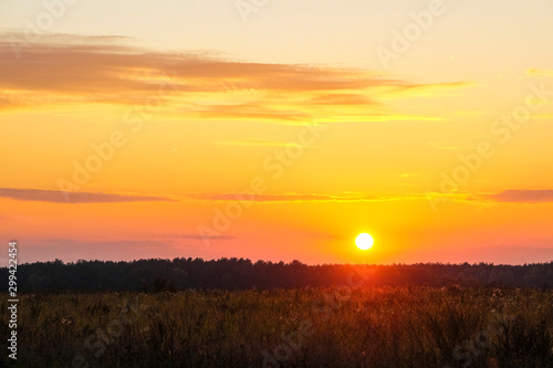 image of sunset over the field © Dmitry Vereshchagin