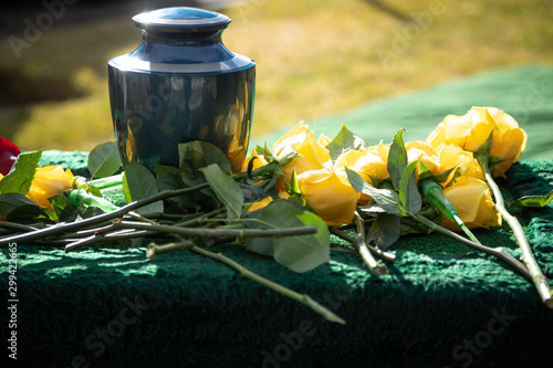 Urn for cremated remains with yellow roses, at an outdoor funeral