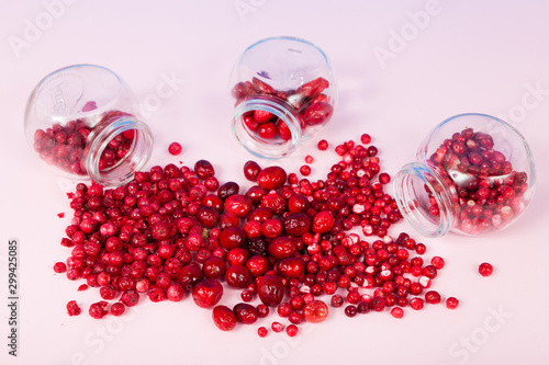 sublimated dried berries top view
