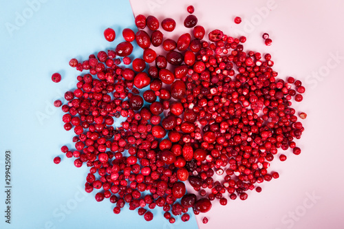 sublimated dried berries top view