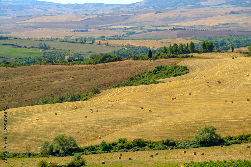 Aerial summer rural landscape of Tuscany