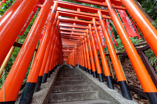 Photography Japanese traditional red Tori gates in Tokyo
