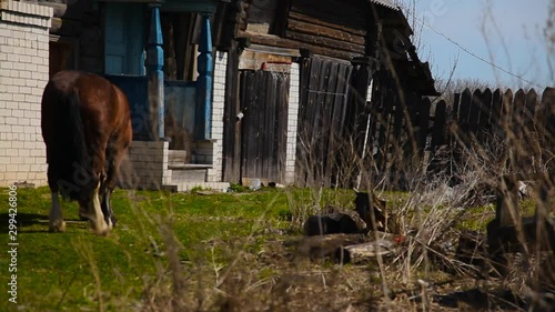 a nuclear explosion, abandoned city, chernobyl