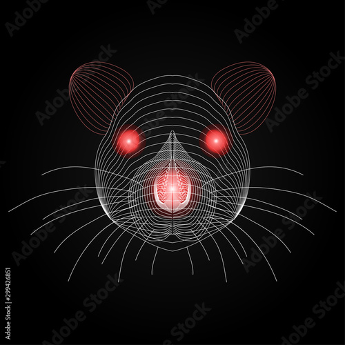 rat face x-ray with red luminous eyes