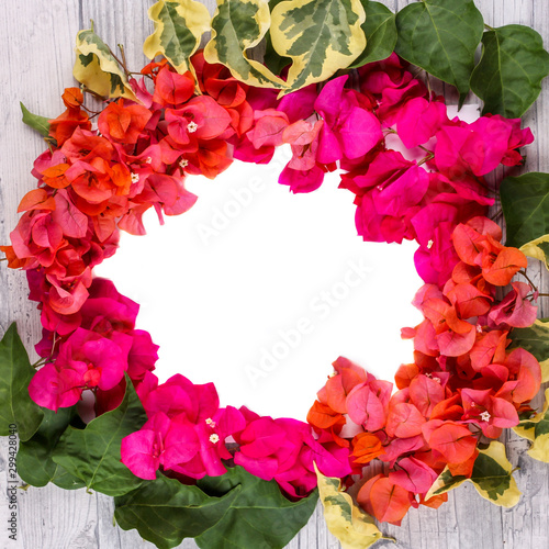 Flatlay of flowers and leaves of bougainvillea. Botanical Mockup