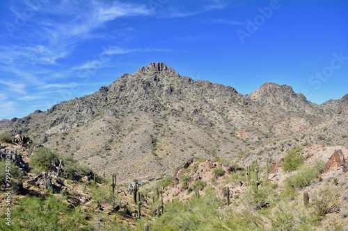 Piestewa Peak Phoenix Mountains Arizona Mountain Sonoran Desert 