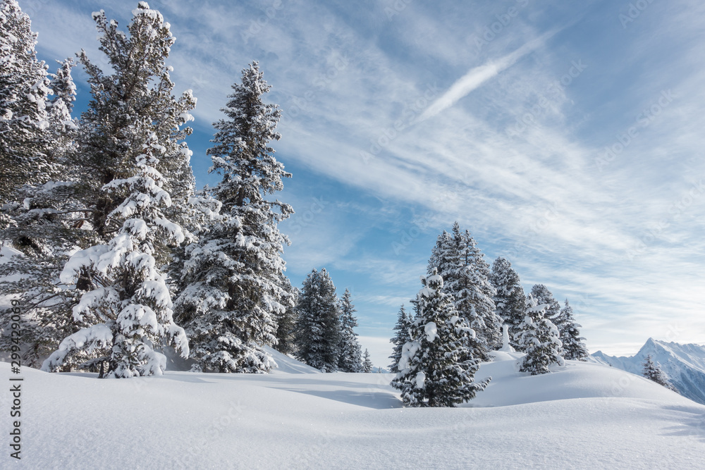 Winterwald im Zillertal in Tirol Winterwald im Zillertal in Tirol