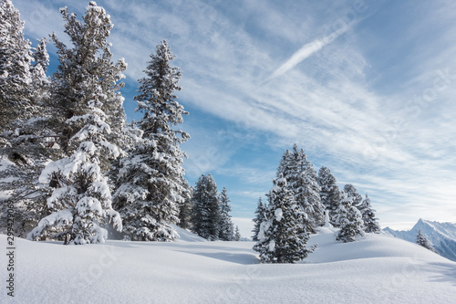 Winterwald im Zillertal in Tirol © by paul