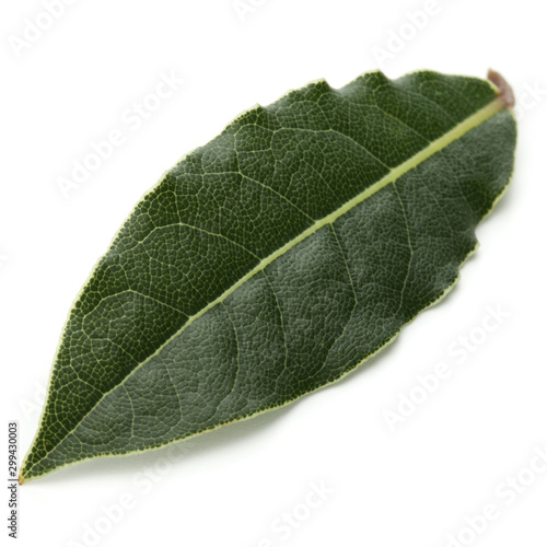 Aromatic bay leaves