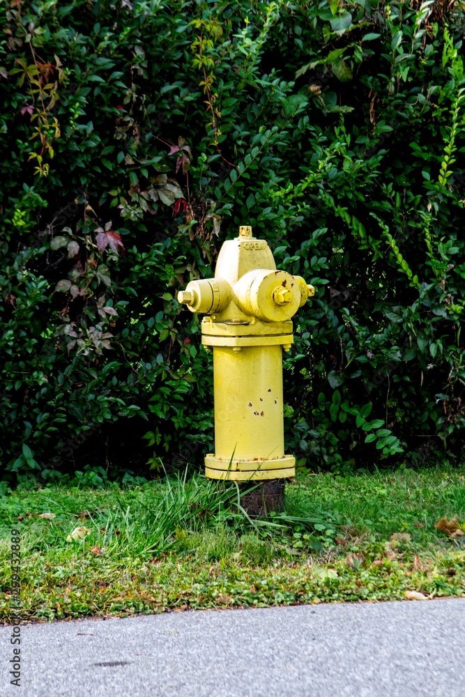 Fire Hydrant in a residential area painted in yellow color