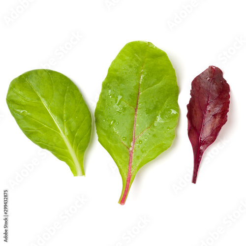 Fotografie Different salad leaves handful isolated on white background