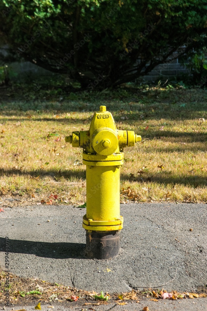 Fire Hydrant in a residential area painted in yellow color