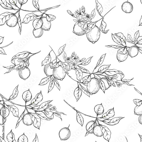 Lemon tree branch with lemons, flowers and leaves. Seamless pattern, background. Outline hand drawing vector illustration in black, white colors.