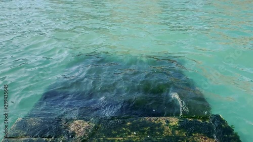 Submerged stairs into sea covered with plants and algae Venice (Venezia) Italy - (4K)