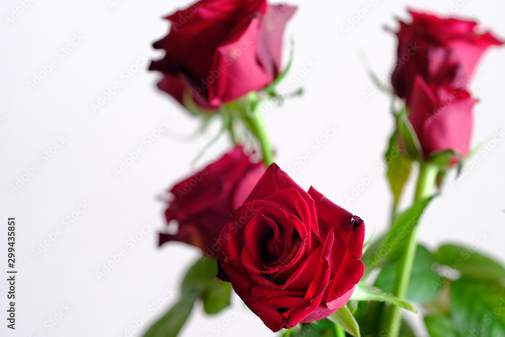 red rose flower arrangement red rose flower arrangement