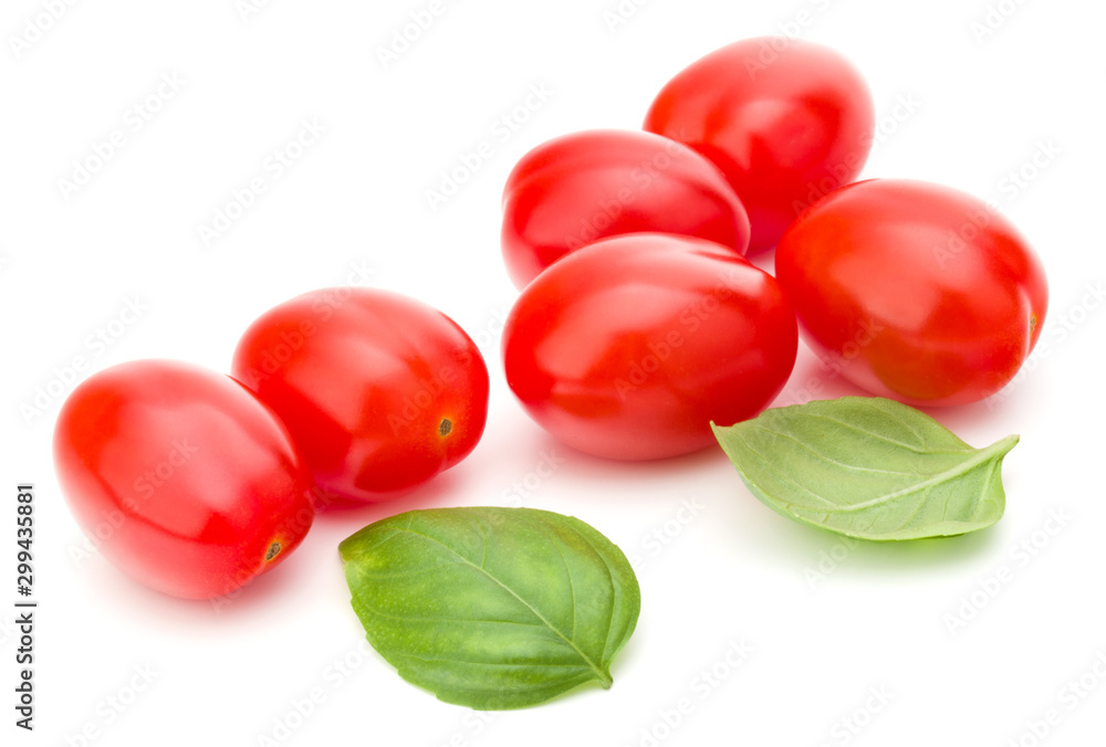 fresh plum tomato with basil leaf isolated on white background fresh plum tomato with basil leaf isolated on white background