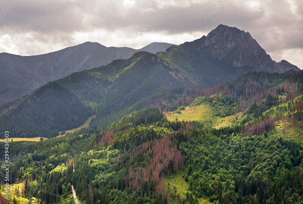 Giewont mountains near Zakopane. Poland