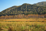Landscape near Manzherok village. Altai Republic. Russia