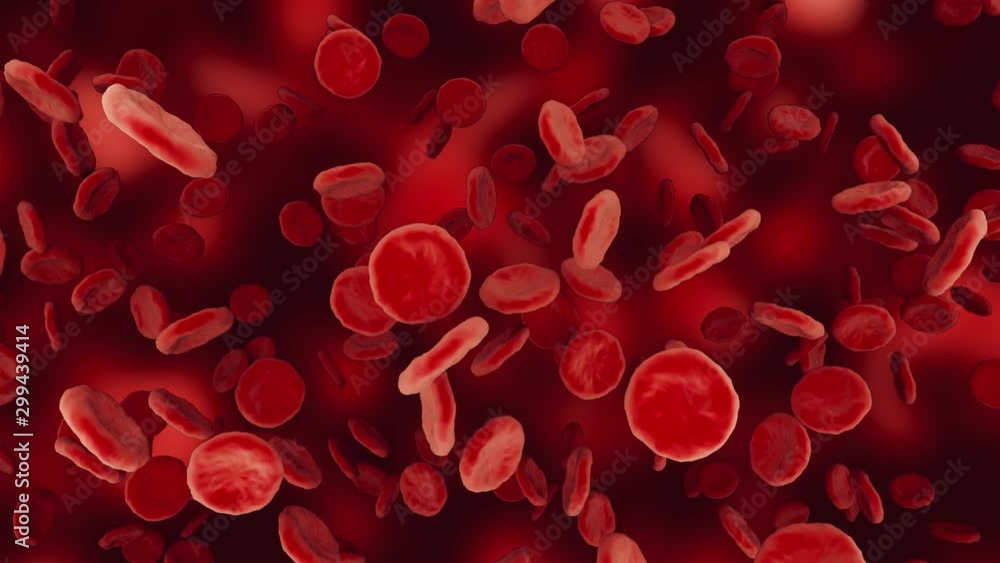 Blood cells floating, spinning slowly. Seamless looped animation + alpha channel. Blood cells floating, spinning slowly. Seamless looped animation + alpha channel.