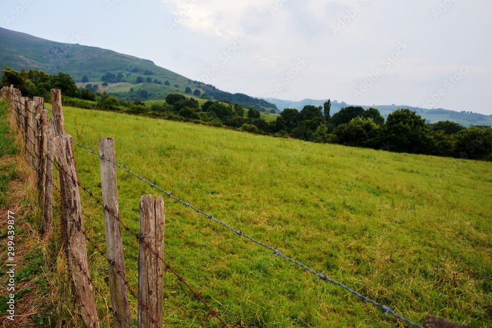 a long fence with barbed wire in a field and a high mountain