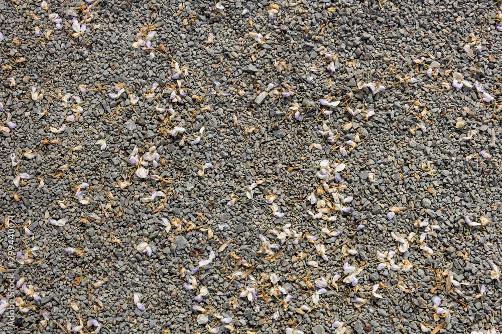 pebble stone background, closeup and full frame pebble stone background, closeup and full frame