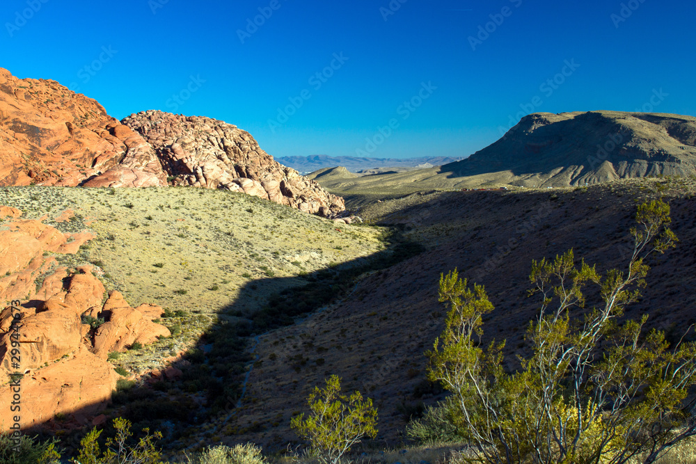 Bright sunshine and contrasty shadows in late afternoon in Red Rock Canyon in Nevada